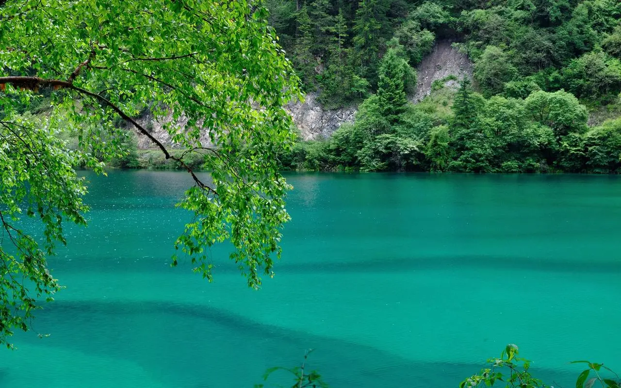高标准高端